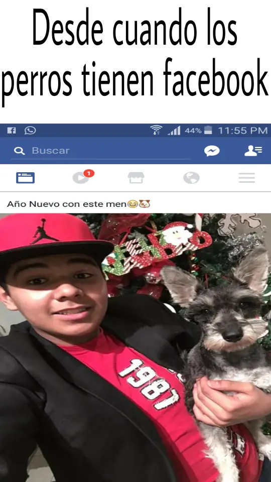 divertidos