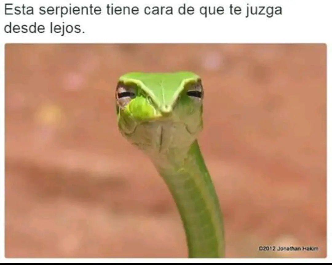 graciosos