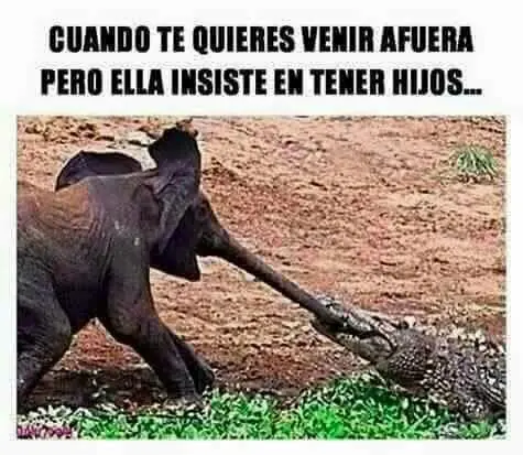 de calidad