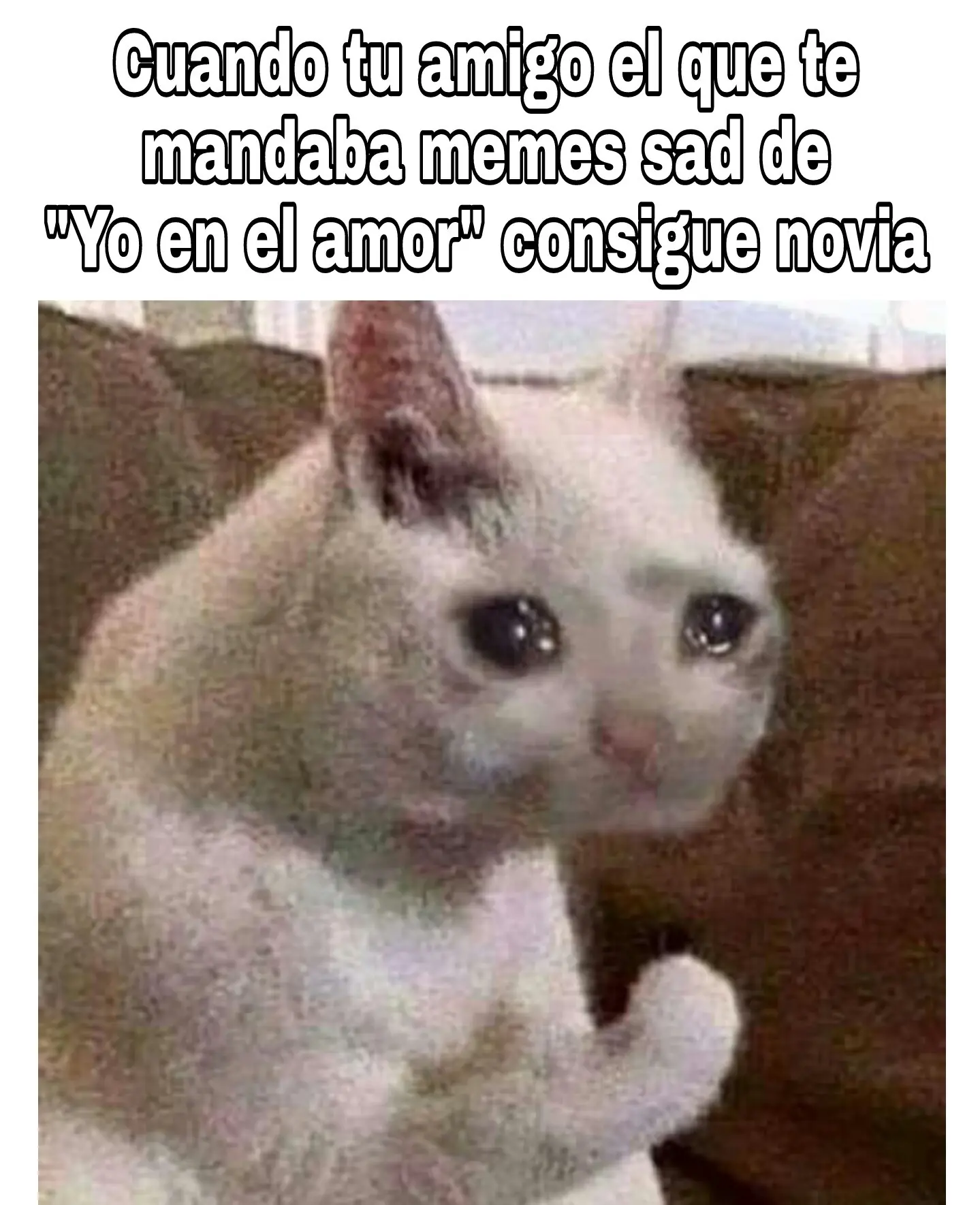 divertidos
