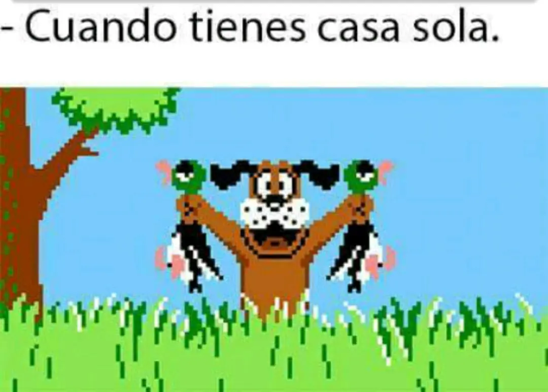 Memes