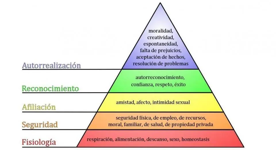 educacion educacion