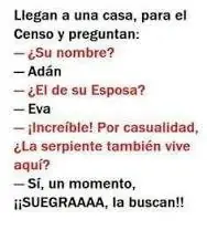 humor