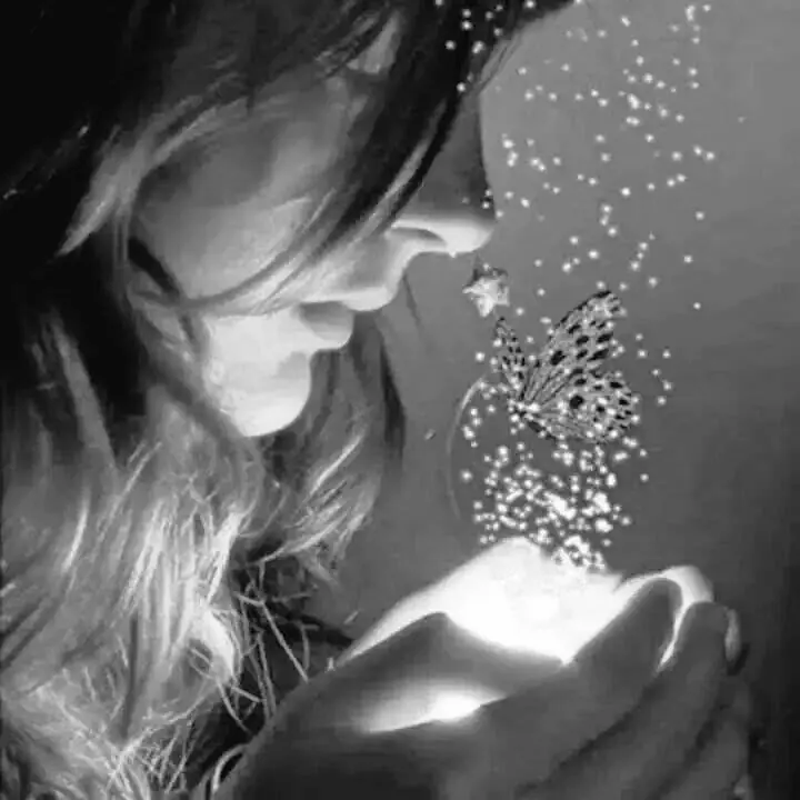 reflexion reflexion