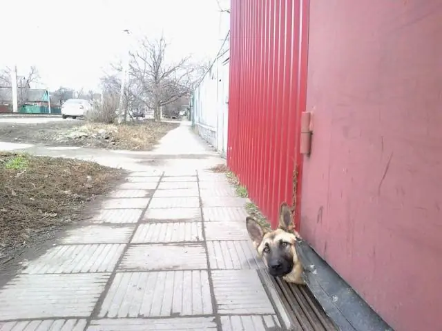 totos