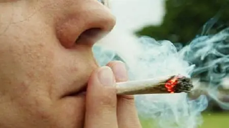 Marihuana: Puerta a la perdicion