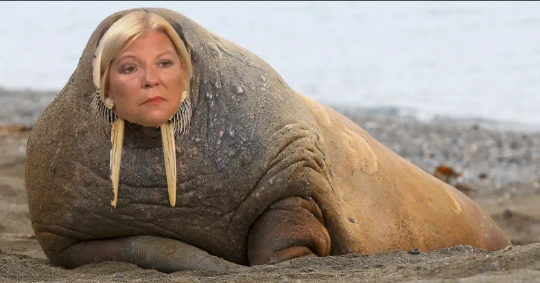 carrio carrio