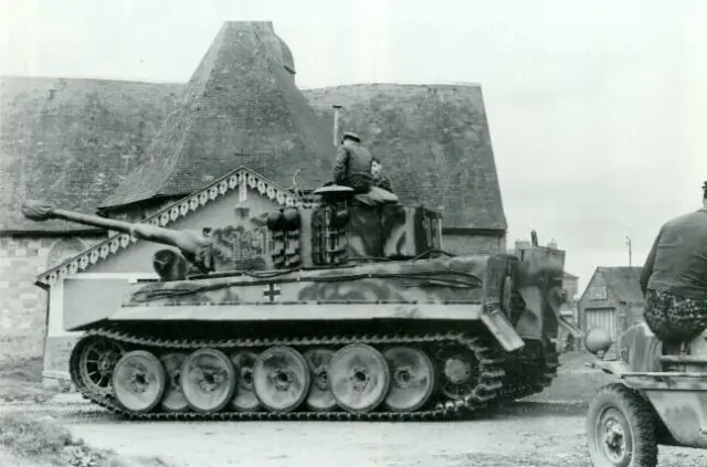 tiger