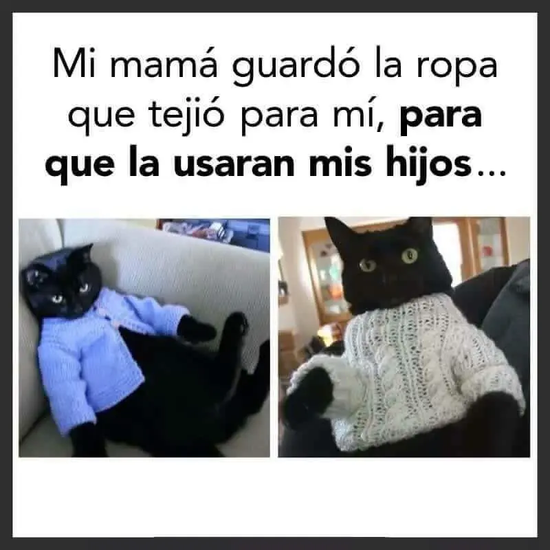 chistosos
