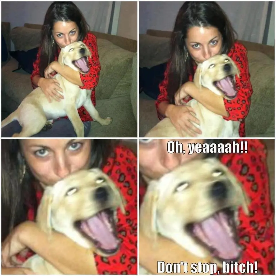 50 imagenes de Humor Lincesco #43