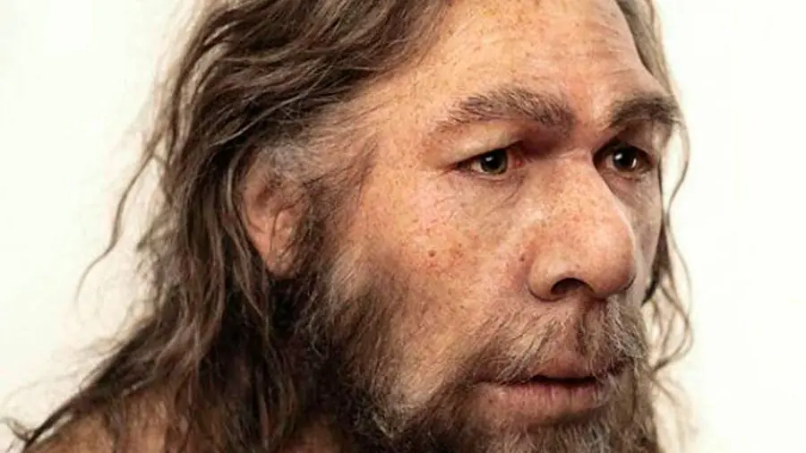 Los neandertales devoraban bebés y les sacaban la médula