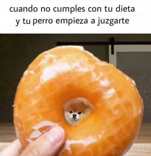 humor