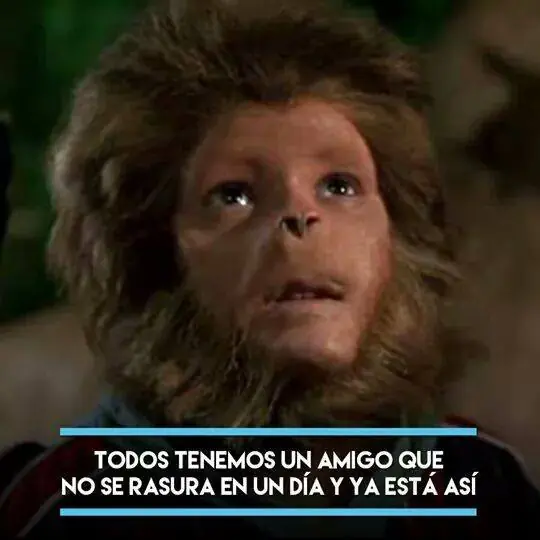 mexican memes