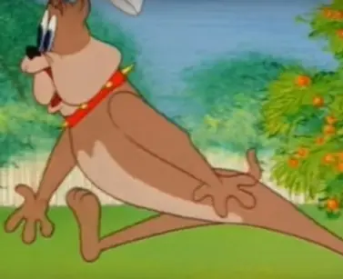 captura piola