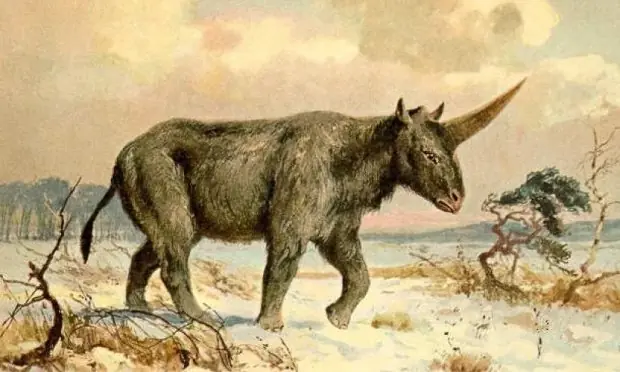 Los Unicornios si existieron Cientificamente