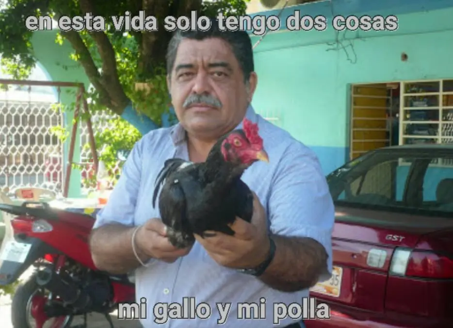 mexican