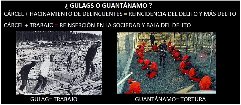 Sistema Penal Sistema Penal