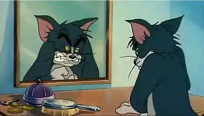 tom y jerry