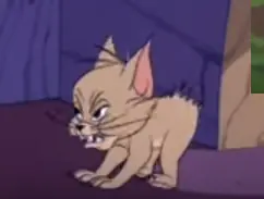 tom y jerry