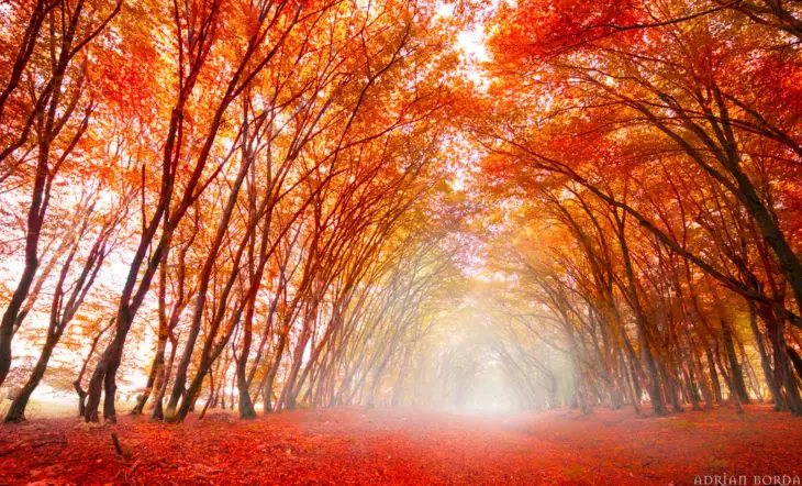 Caminos en la naturaleza debes recorrer al menos una vez