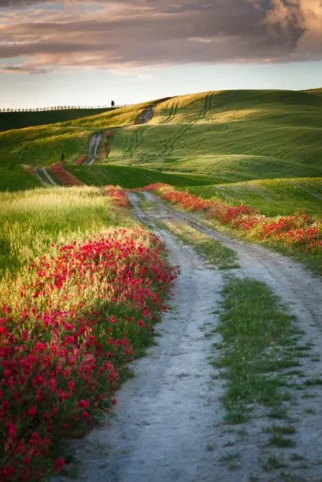 naturaleza