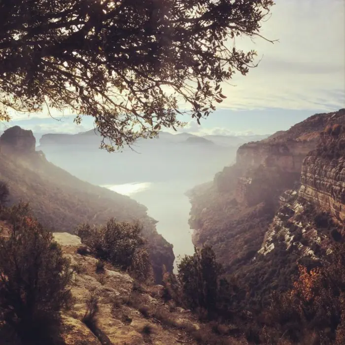 Caminos en la naturaleza debes recorrer al menos una vez
