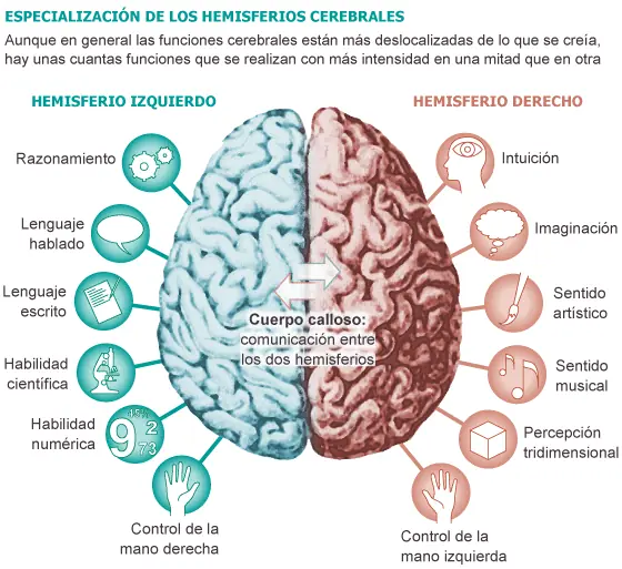 educacion