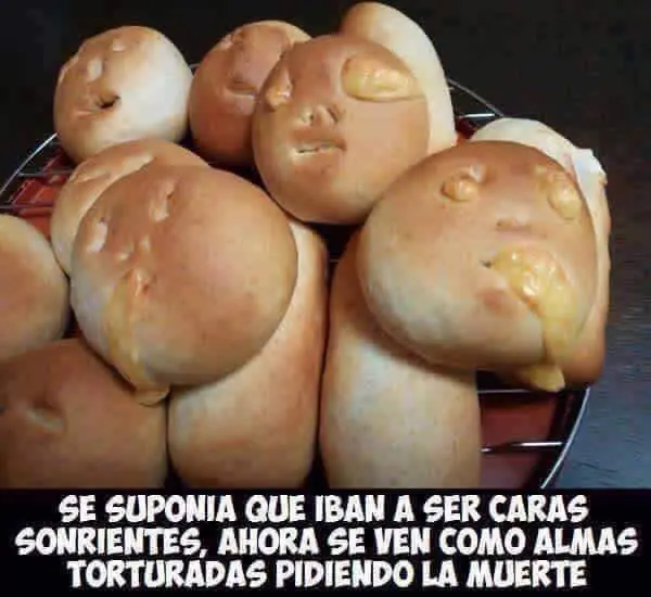 el 1er Fin