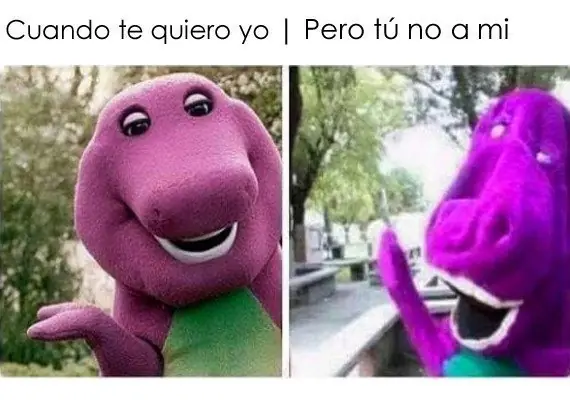 el 1er Fin