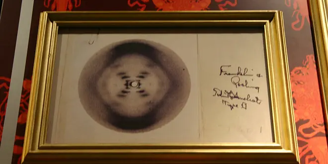 cientificas