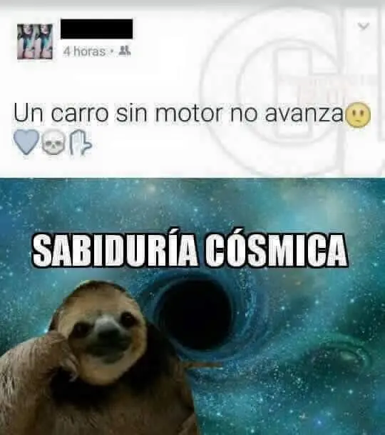 puerquito