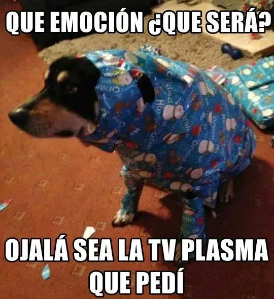 humor random