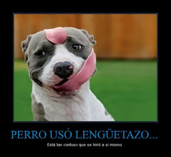 humor