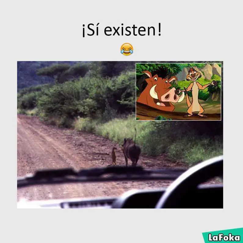 risa