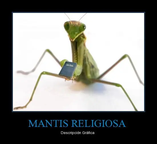 humor