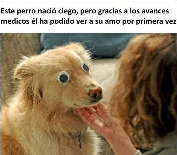 DenunciameEsta
