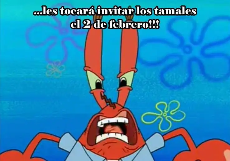memes bob esponja