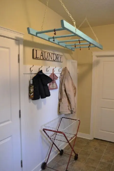 organizada