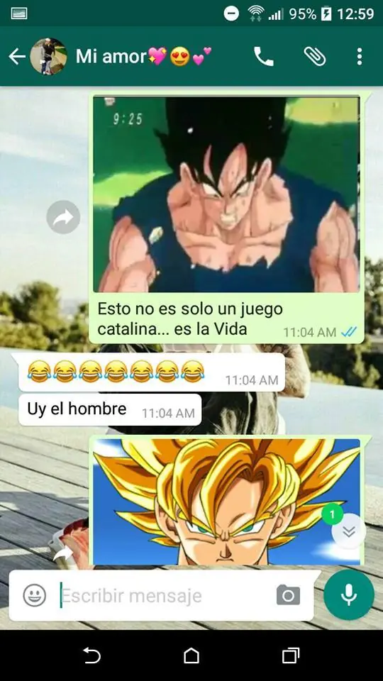 novia