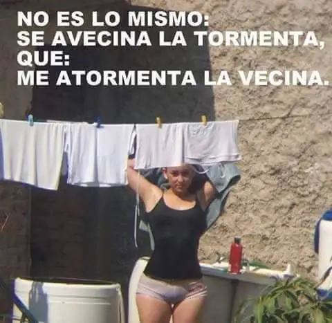 Imagenes de humor para linces que no duermen por la noche