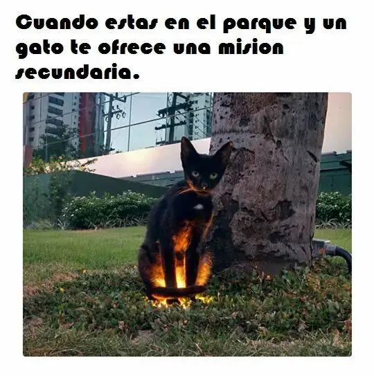 Fin de
