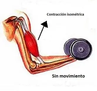 fisiologia del entrenamiento deportivo