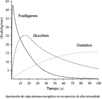 Fuerza, potencia y resistencia muscular. Lo que debes saber!