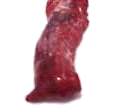 carne