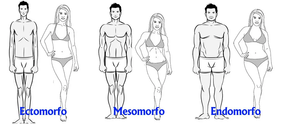 musculo esqueletico