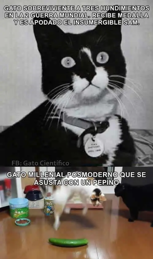 Imágenes de humor nocturno Parte- 132