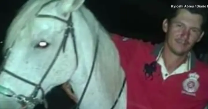 caballo