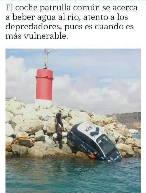 imagenes graciosas