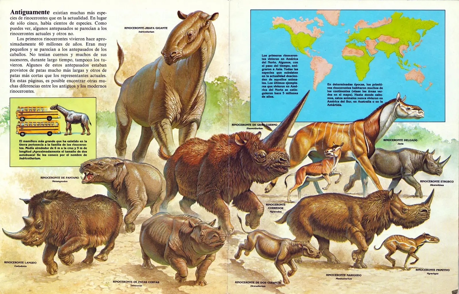 curiosidades