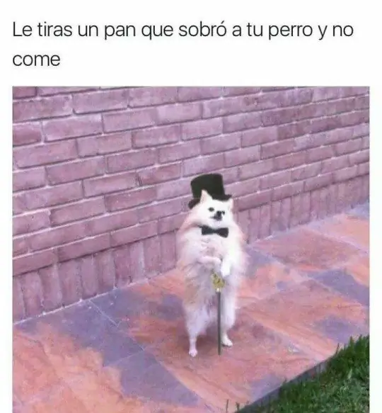 humor